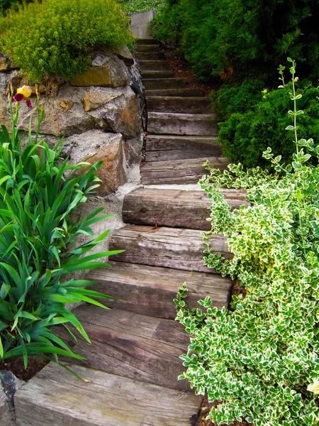 Escadaria de madeira no parque — Fotografia de Stock