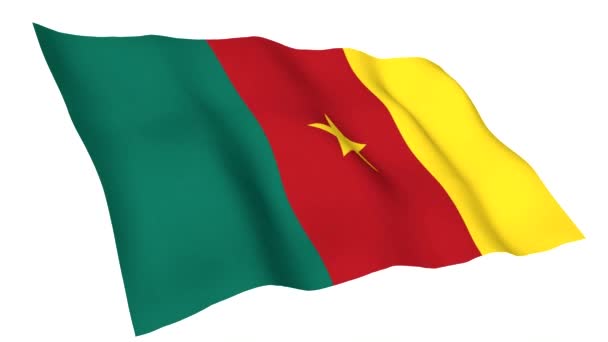 Bandera de Camerún — Vídeo de stock