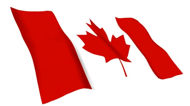 Animovaná vlajka Kanady — Stock video