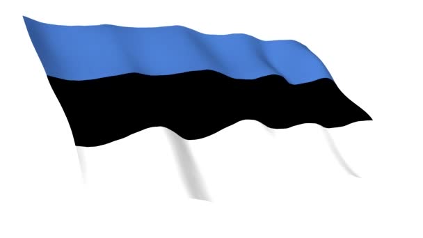 Animated flag of Estonia — Stock Video