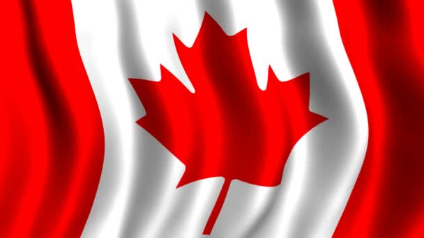 加拿大国旗； — 图库视频影像