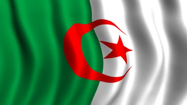 Flag of Algeria — Stock Video