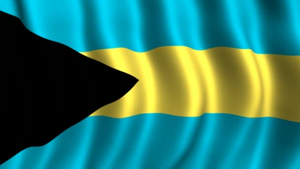 Прапор Багамських островів — стокове відео