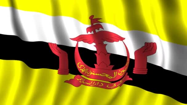 Bandera de Brunei — Vídeos de Stock