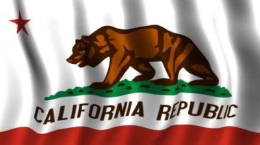 california bayrağı