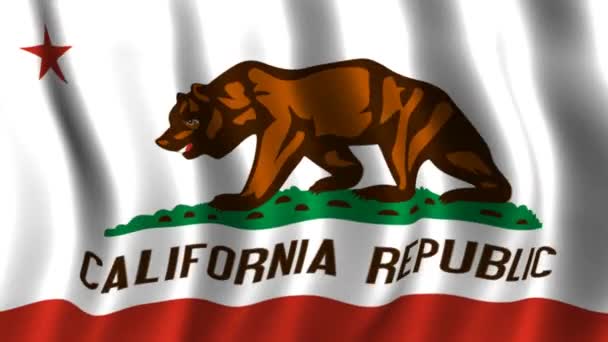 Bendera California — Stok Video