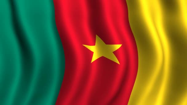 Flag of Cameroon — Stock Video