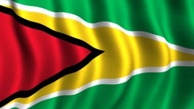 Guyana Bayrağı
