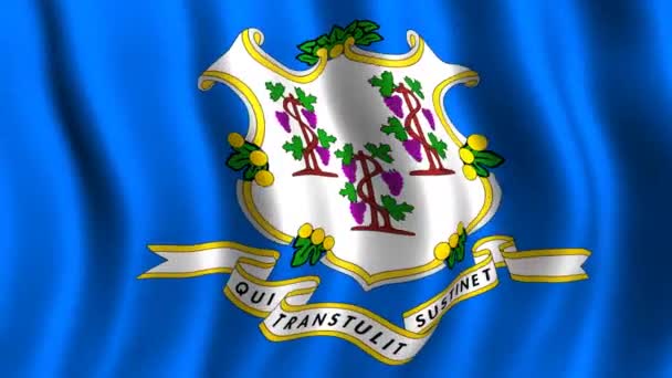 Connecticut zászlaja — Stock videók
