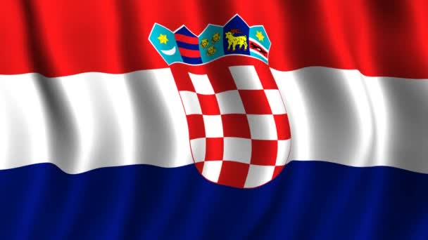 Vlag van Kroatië — Stockvideo