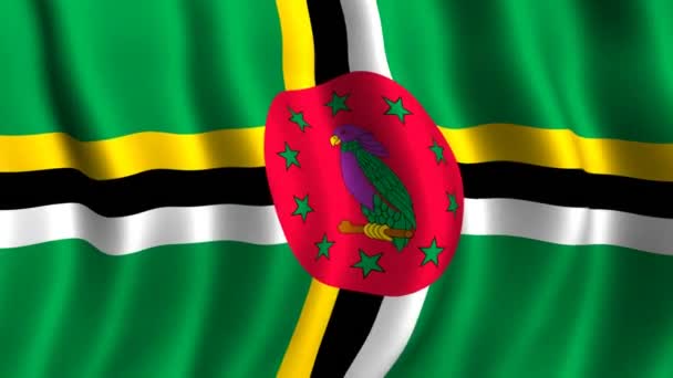 Vlag van dominica — Stockvideo