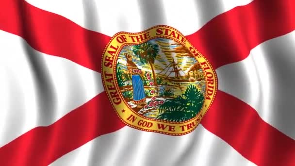 Bandeira da Flórida — Vídeo de Stock