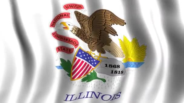 Bandera de Illinois — Vídeos de Stock