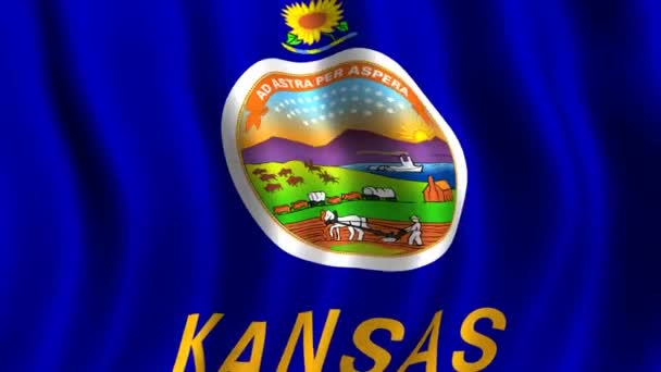 Flaga stanowa kansas — Wideo stockowe