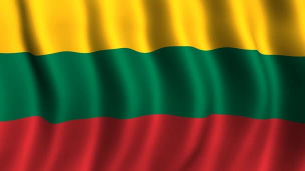 Bandera de lithuania — Vídeo de stock