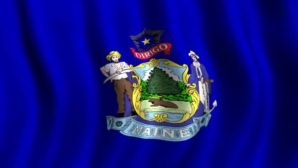 Bandeira do Maine — Vídeo de Stock