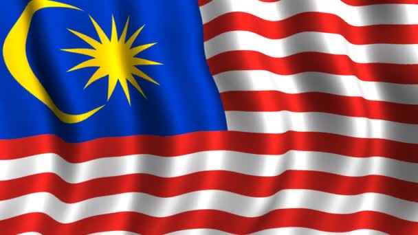 Flag of Malaysia — Stock Video