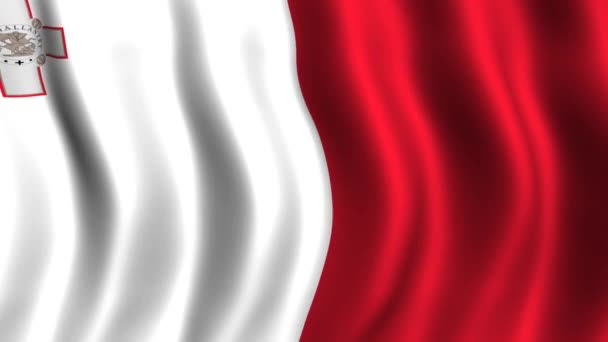 マルタの旗 — ストック動画