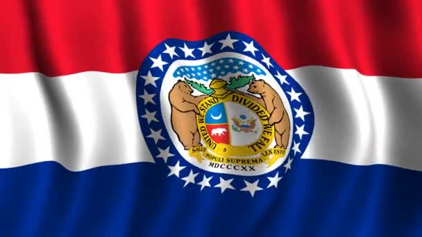 Vlag van missouri — Stockvideo