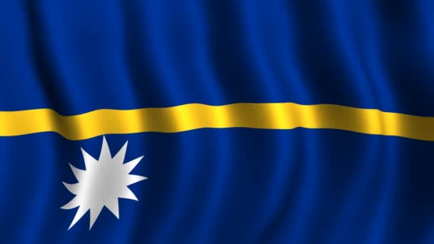 Vlag van nauru — Stockvideo