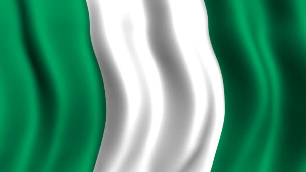 Flagge Nigerias — Stockvideo