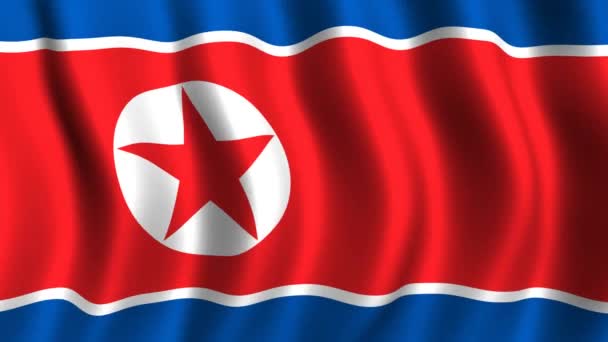 Nordkoreas flagga — Stockvideo