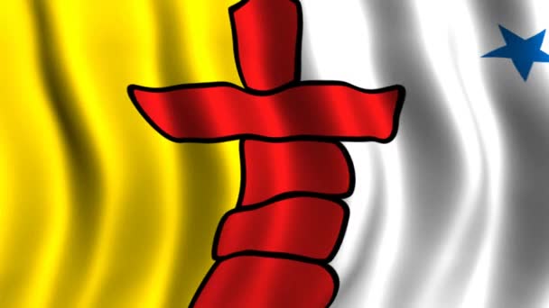 Flag of Nunavut — Stock Video