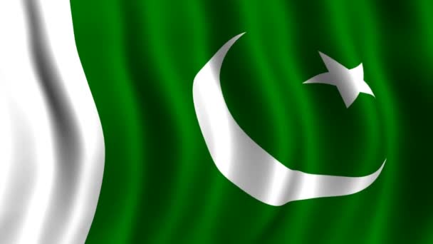 Flagge von Pakistan — Stockvideo