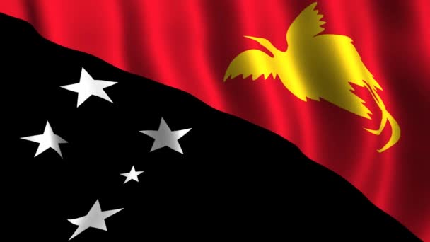 Flag of Papua New Guinea — Stock Video