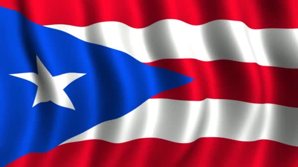 Flag of Puerto Rico — Stock Video