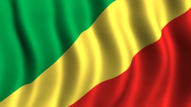 刚果共和国的旗帜 — 图库视频影像