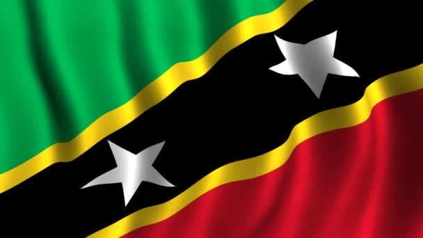 Vlag van Saint Kitts en Nevis — Stockvideo