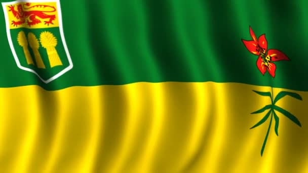 Saskatchewans flag – Stock-video