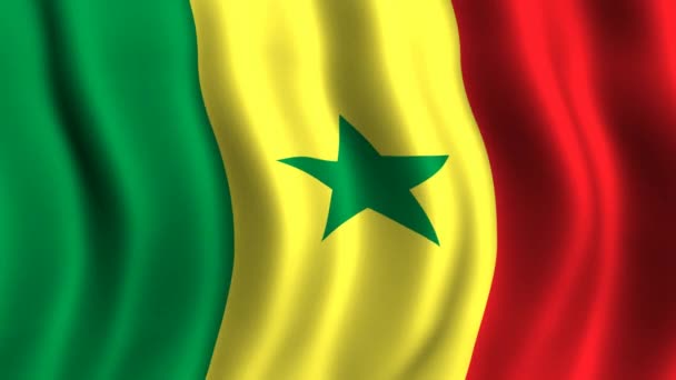 Senegal Cumhuriyeti bayrağı — Stok video