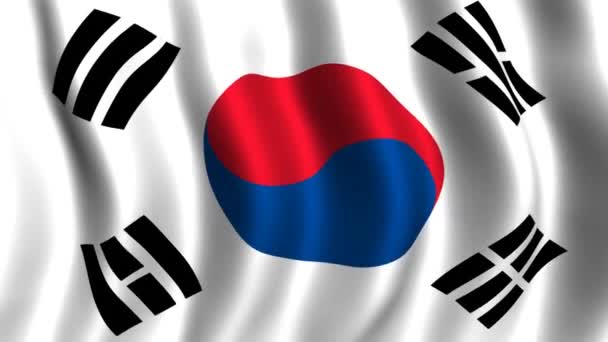 Flagge Südkoreas — Stockvideo