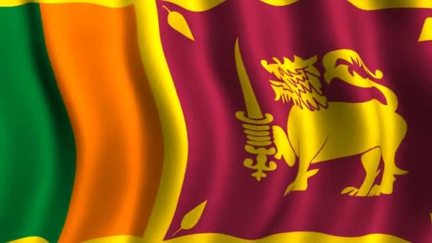 Vlag van sri lanka — Stockvideo