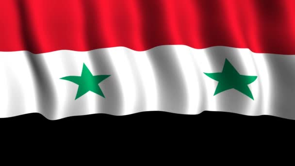 Flag of Syria — Stok video