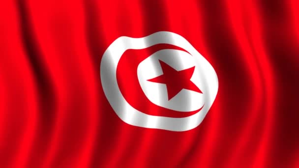 Bandiera della Tunisia — Video Stock