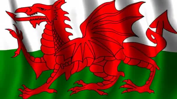 Vlag van wales — Stockvideo