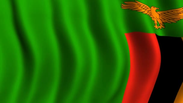 Flag of Zambia — Stock Video