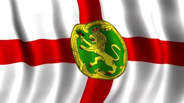 Alderney zászlaja — Stock videók