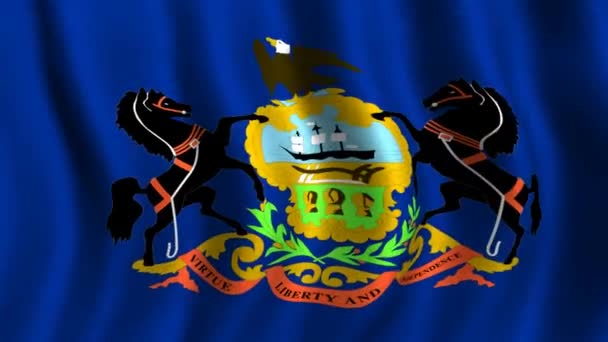 Vlag van pennsylvania — Stockvideo