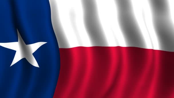 Bandera de Texas — Vídeos de Stock