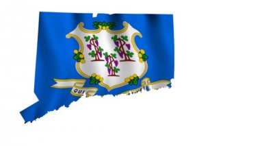 connecticut bayrağı