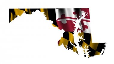 maryland bayrağı