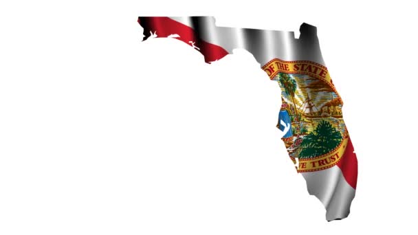 Флаг Флориды — стоковое видео