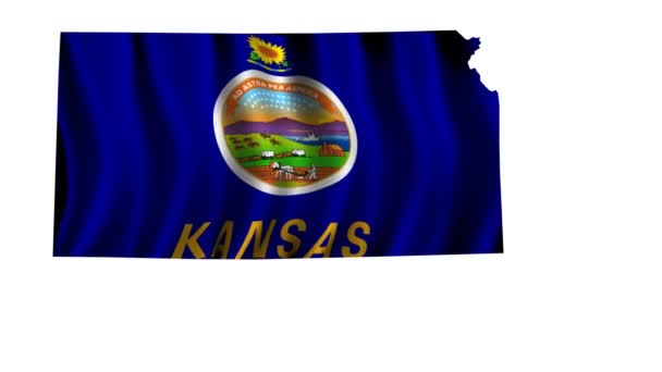 Vlag van kansas — Stockvideo