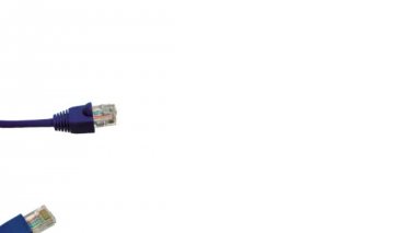 Animasyon ağ bağlantısı