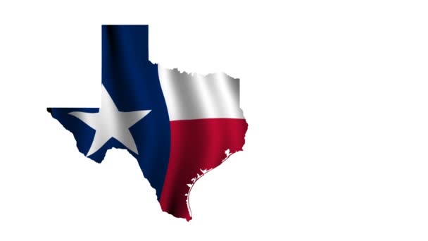 Bandera de Texas — Vídeos de Stock