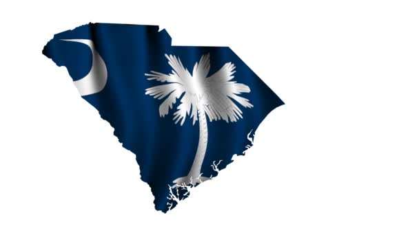 South Carolinas flagga — Stockvideo